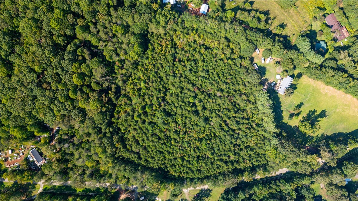 0 Odell Road Liberty, SC 29657 - Photo 6 of 12