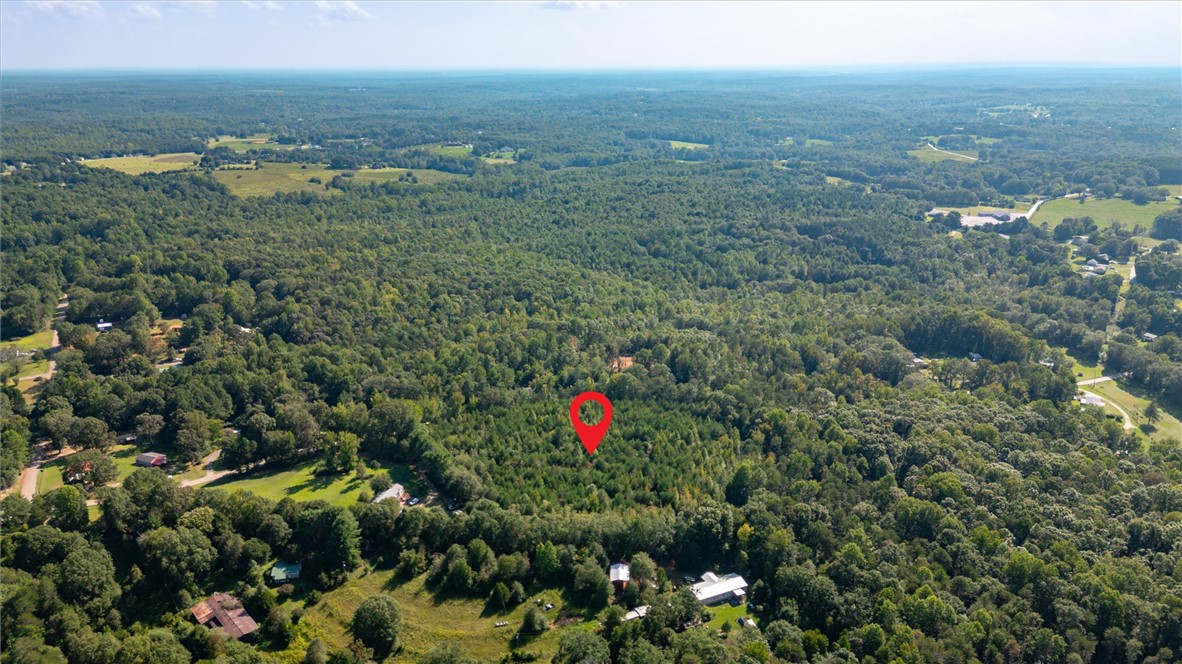 0 Odell Road Liberty, SC 29657 - Photo 10 of 12