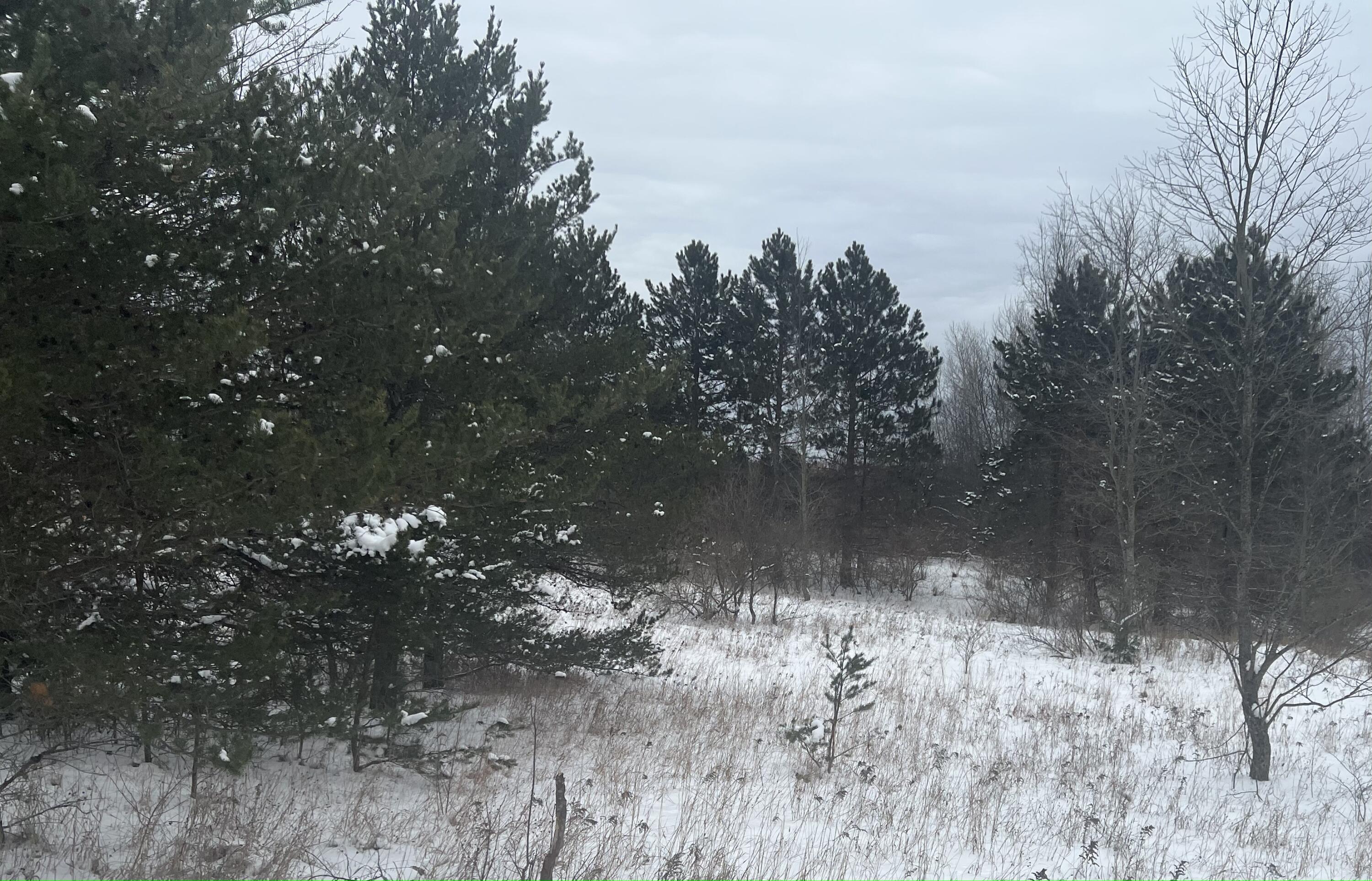 7661 Inman Road Southwest Fife Lake, MI 49633 - Photo 16 of 19 Gallery Image 16