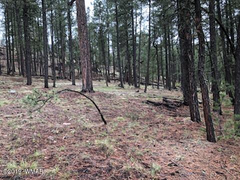 7 Co Road Alpine, AZ 85920 - Photo 4 of 16 Gallery Image 4