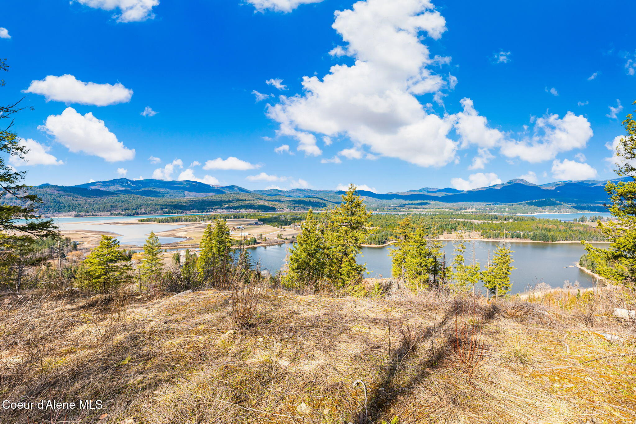 Nna Nna Luna Ridge Drive Sagle, ID 83860 - Photo 8 of 26 8-web-or-mls-Sagle land-8