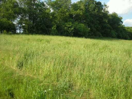 Vacant Lot Howes Run Road Sarver, PA 16055 - Photo 3 of 8 Other.