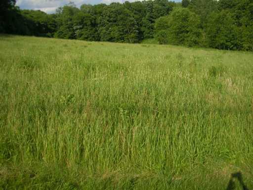 Vacant Lot Howes Run Road Sarver, PA 16055 - Photo 5 of 8 Other.