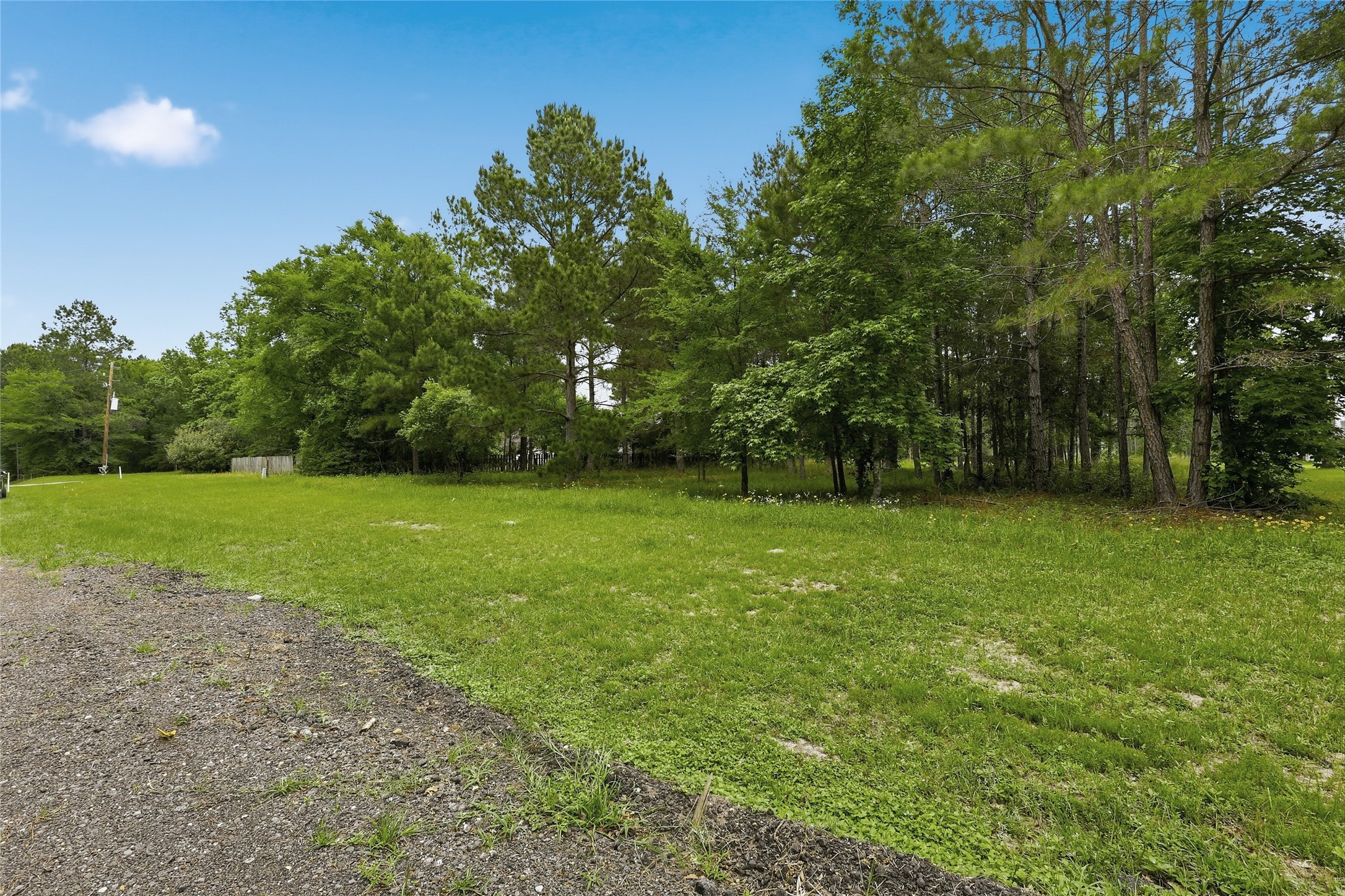 2302 Honea Egypt Road Magnolia, TX 77354 - Photo 4 of 12 a view of a garden with a tree