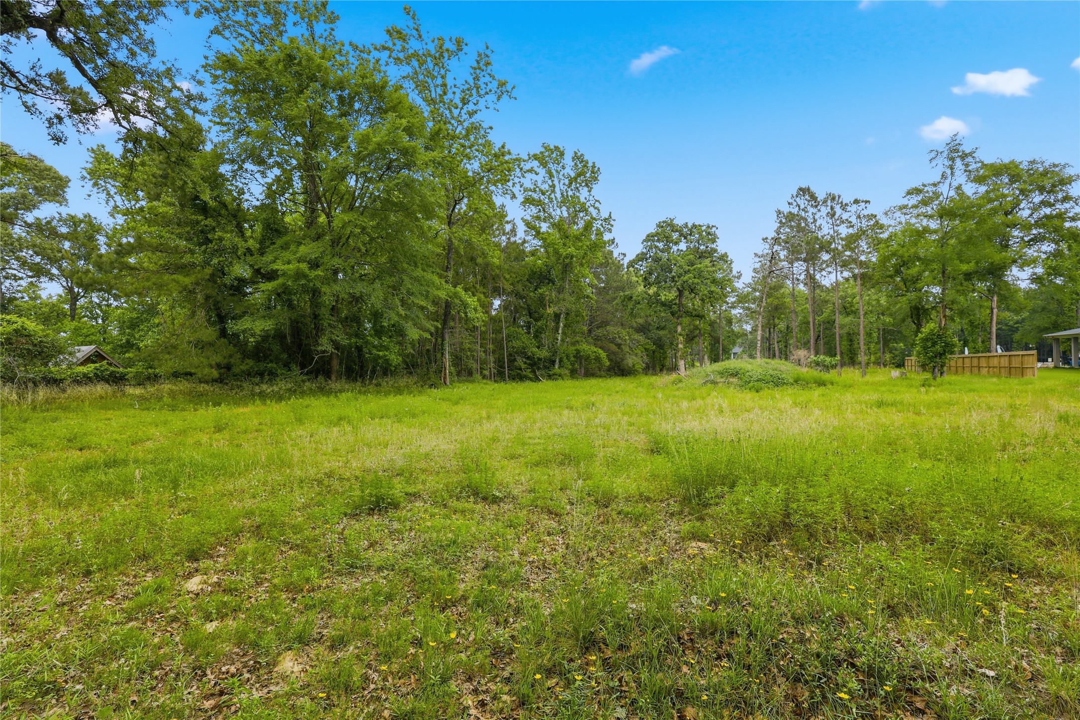 2302 Honea Egypt Road Magnolia, TX 77354 - Photo 5 of 12 a view of a field with a tree in the background
