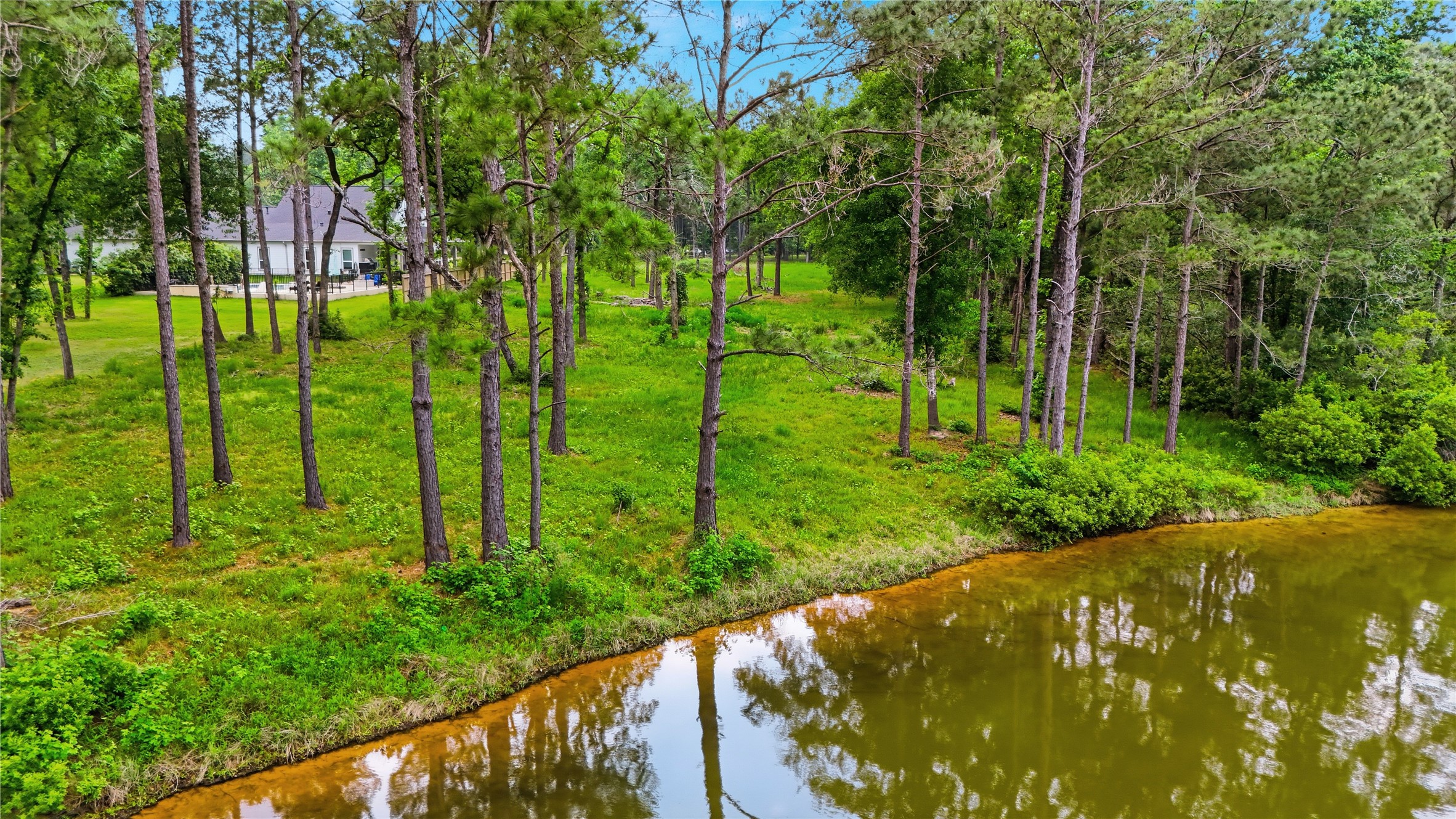 2302 Honea Egypt Road Magnolia, TX 77354 - Photo 6 of 12 a view of an outdoor space and a yard