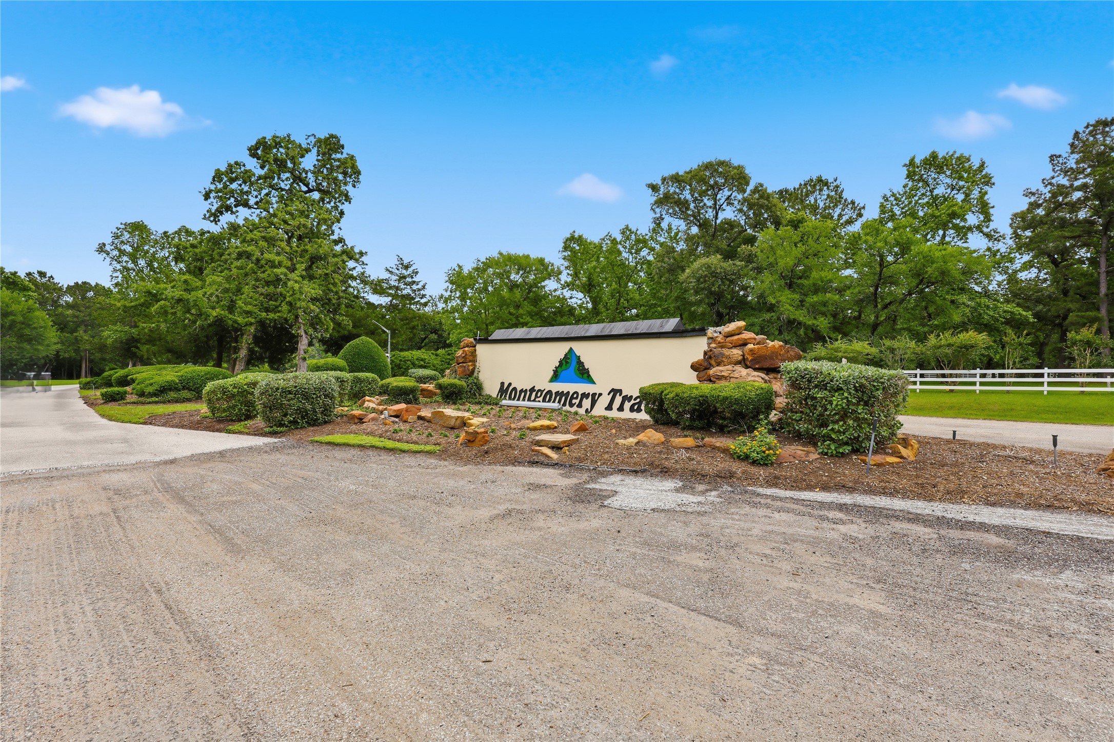 2302 Honea Egypt Road Magnolia, TX 77354 - Photo 7 of 12 a row of palm trees and a fire pit with large trees