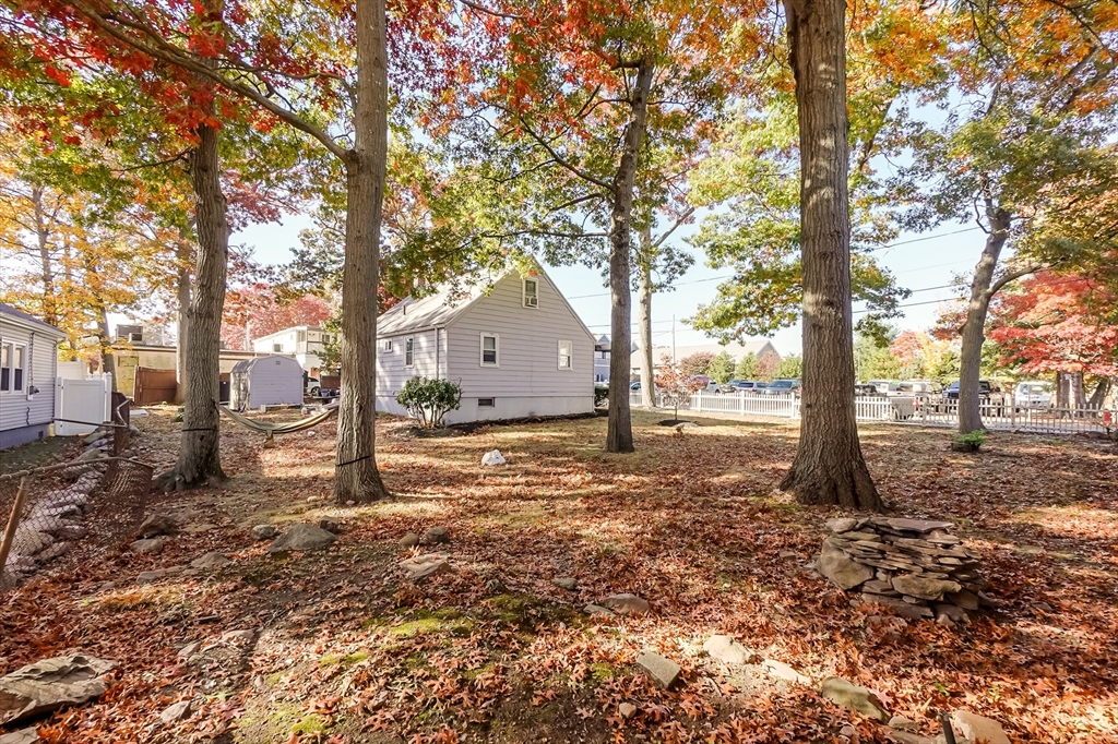 5 Oliver Street Randolph, MA 02368 - Photo 7 of 29 a view of a tree in the middle of a yard