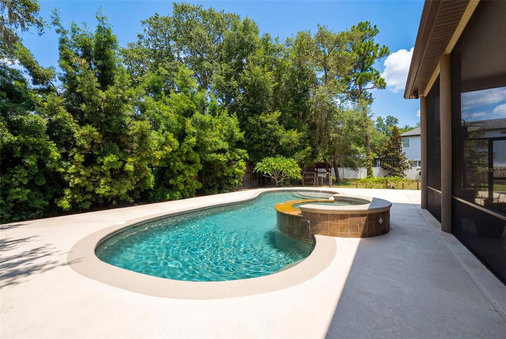 5130 Morning Dew Loop Oviedo, FL 32765 - Photo 30 of 38 a view of a swimming pool with a yard