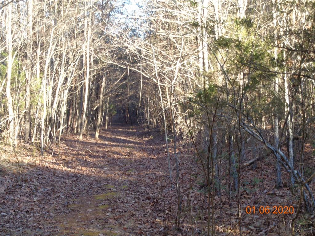 1878 Old Amherst Road Morganton, NC 28655 - Photo 6 of 11 Gallery Image 6