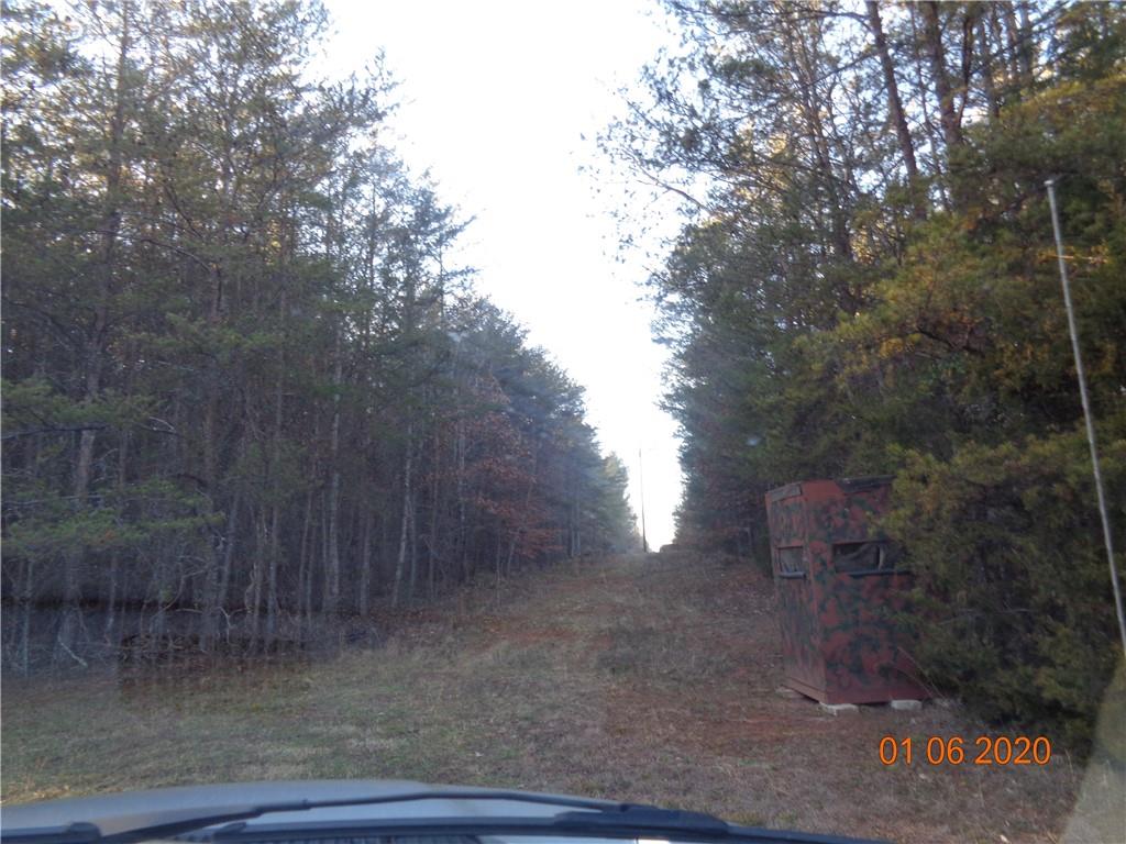 1878 Old Amherst Road Morganton, NC 28655 - Photo 9 of 11 Gallery Image 9