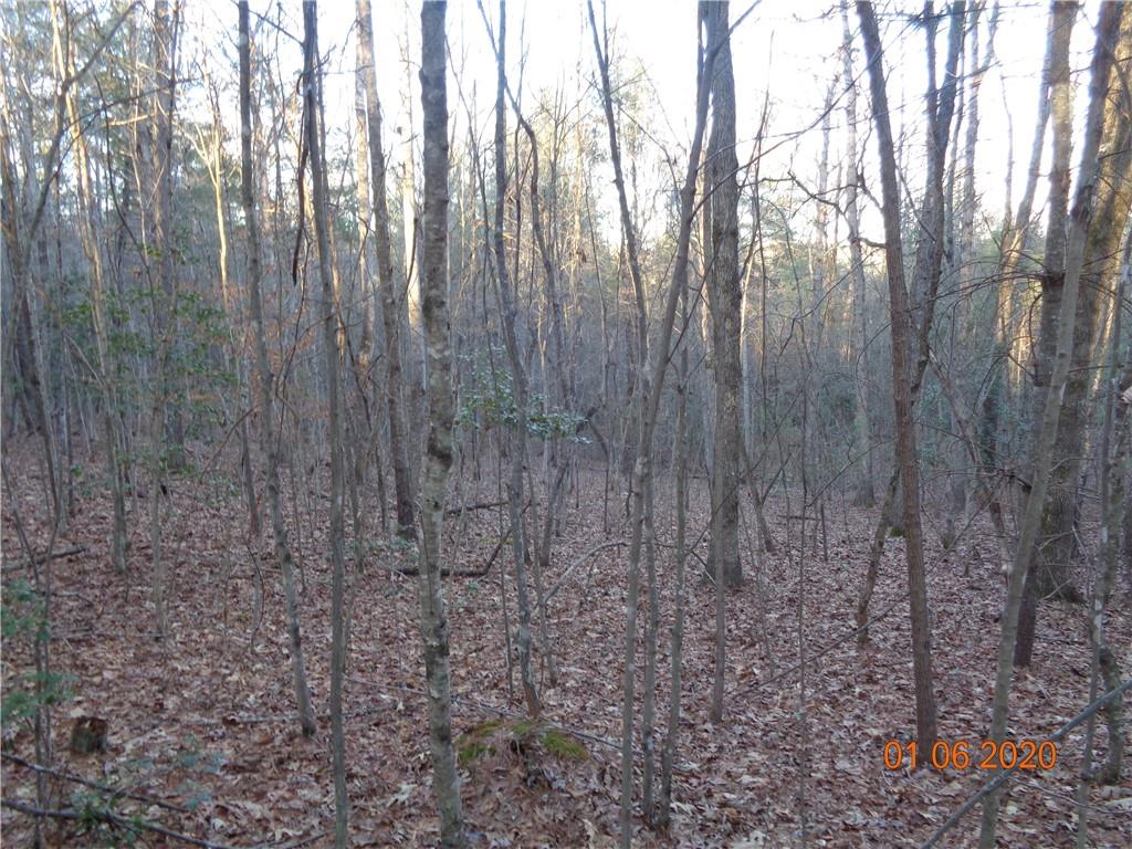 1878 Old Amherst Road Morganton, NC 28655 - Photo 10 of 11 Gallery Image 10