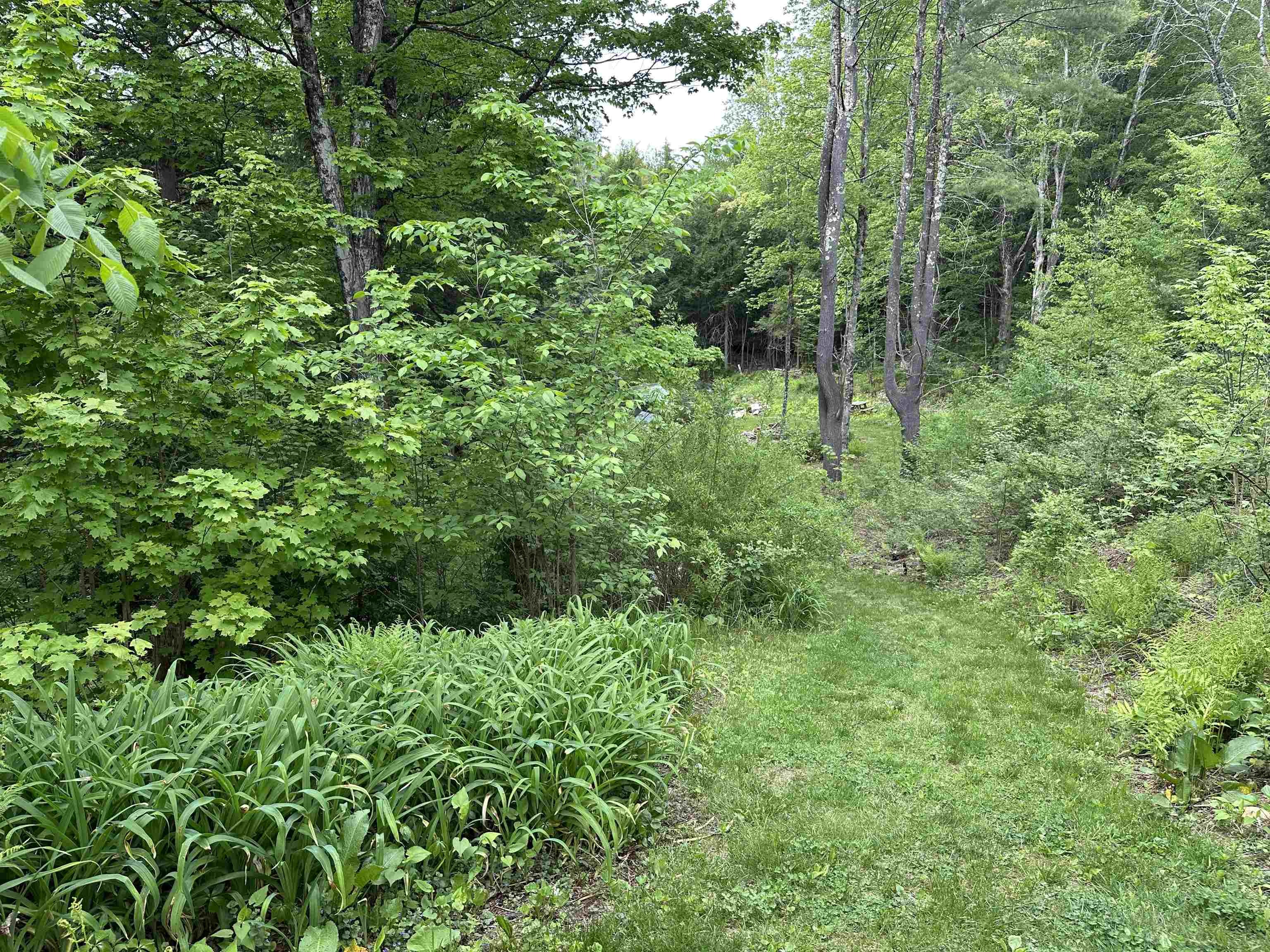 130 Village Road Langdon, NH 03602 - Photo 50 of 60