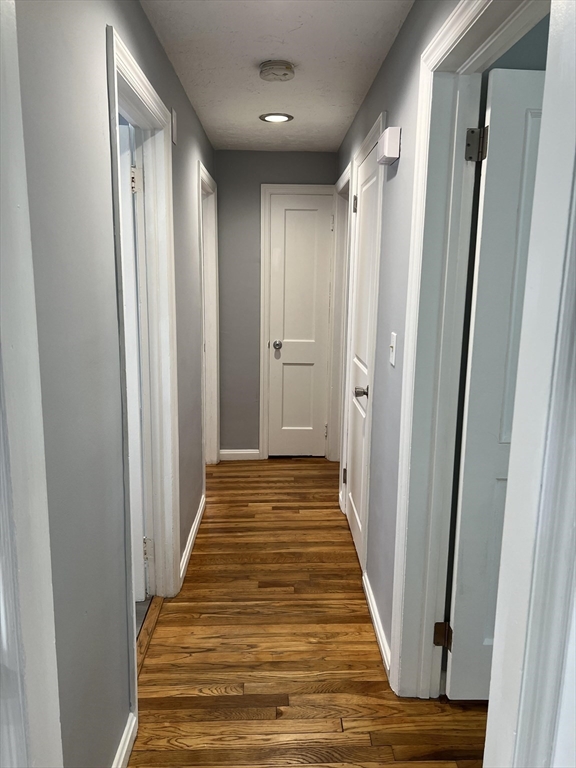 30 Lumae Street Springfield, MA 01119 - Photo 16 of 40 Gallery Image 16