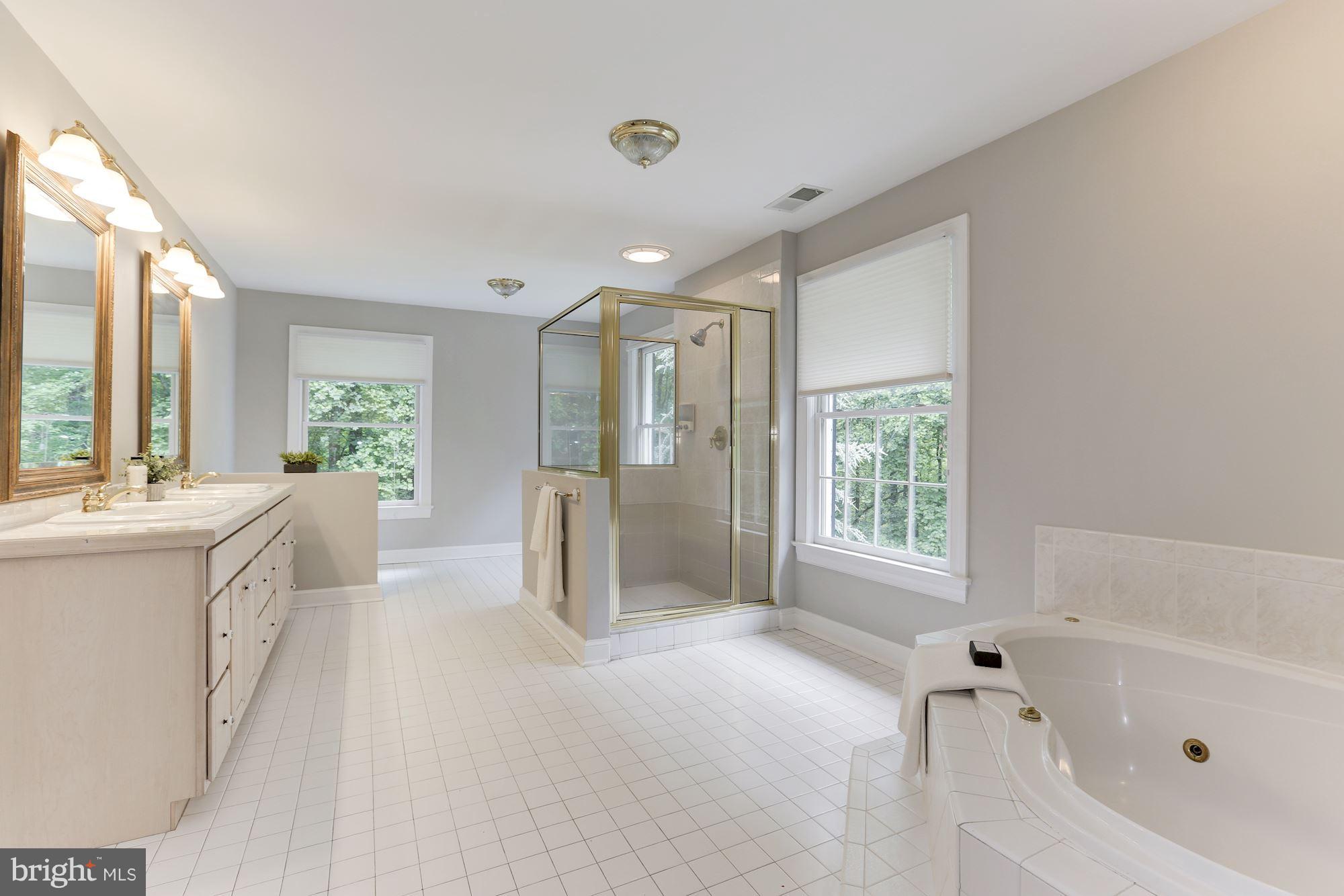 1008 Union Church Road McLean, VA 22102 - Photo 19 of 30 Bath (Master)