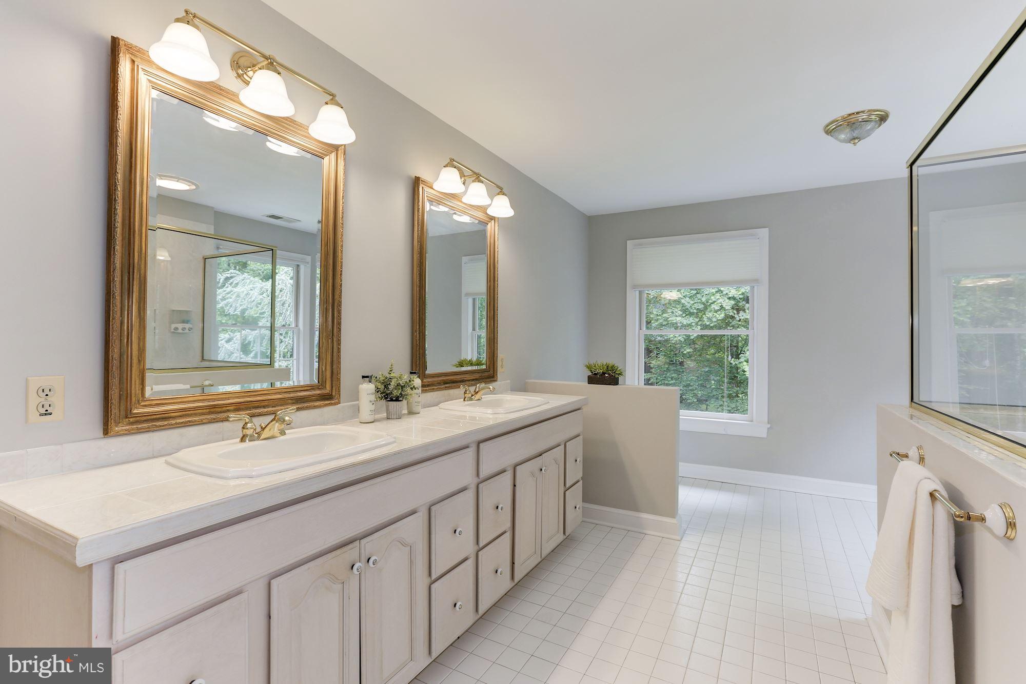 1008 Union Church Road McLean, VA 22102 - Photo 20 of 30 Bath (Master)
