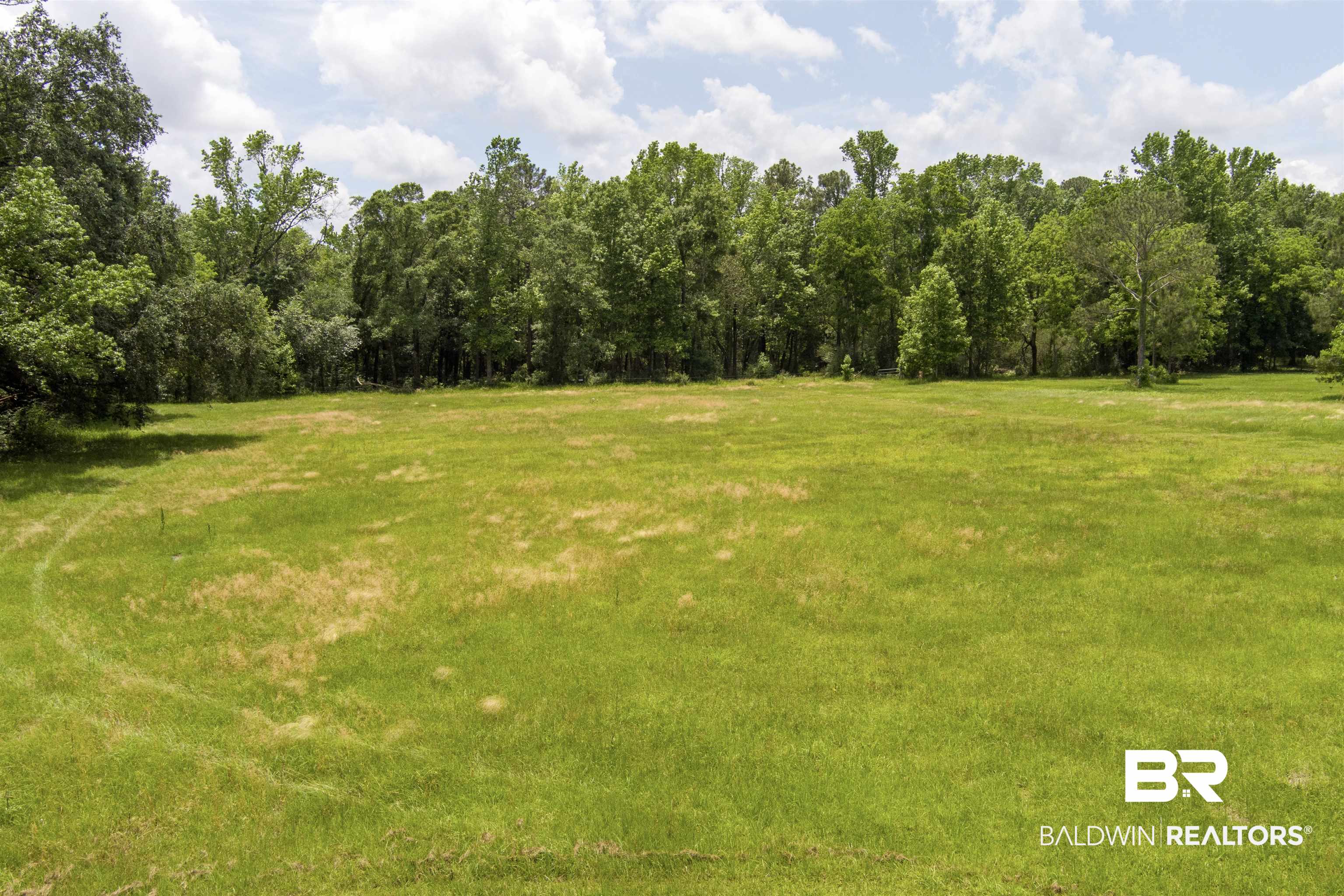 13925 Fort Lake Road Grand Bay, AL 36541 - Photo 34 of 37 View of yard