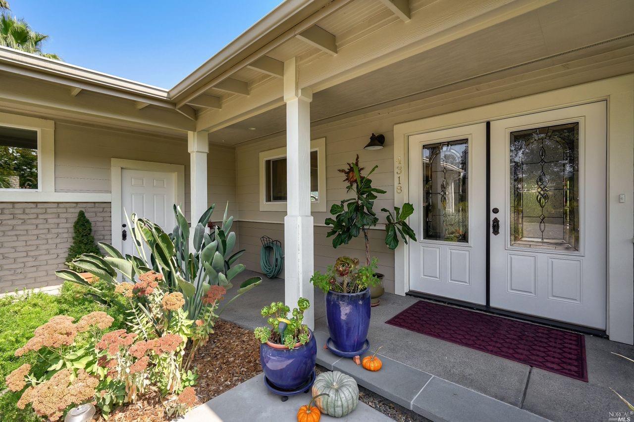 a potted plant sitting in front of a house