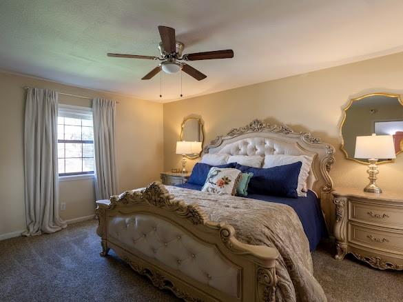 8209 Woodside Road Rowlett, TX 75088 - Photo 17 of 30 Primary bedroom