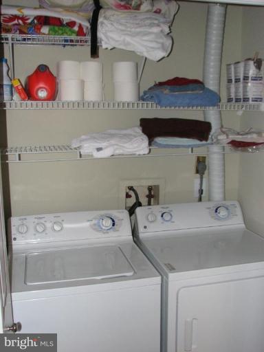 14901 Rydell Road, Unit 302 Centreville, VA 20121 - Photo 7 of 13 Laundry Area 1