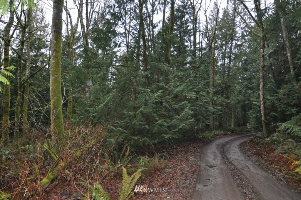 19-xx Academy Road Bellingham, WA 98226 - Photo 2 of 20 Gallery Image 2