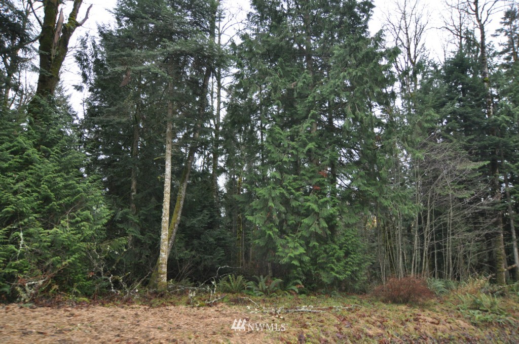19-xx Academy Road Bellingham, WA 98226 - Photo 11 of 20 Gallery Image 11