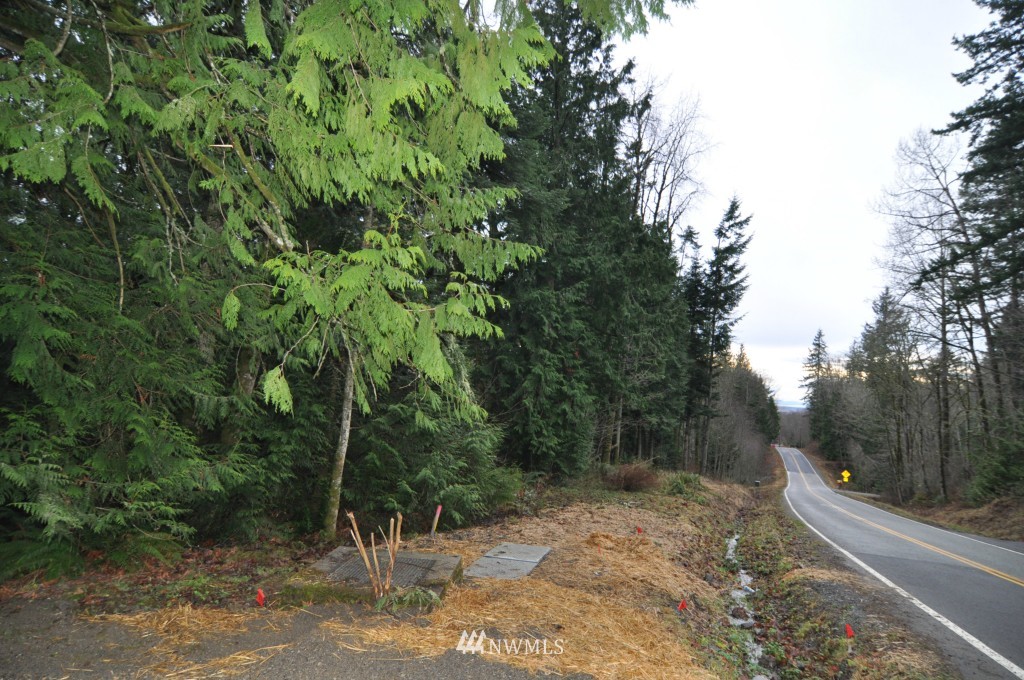 19-xx Academy Road Bellingham, WA 98226 - Photo 12 of 20 Gallery Image 12