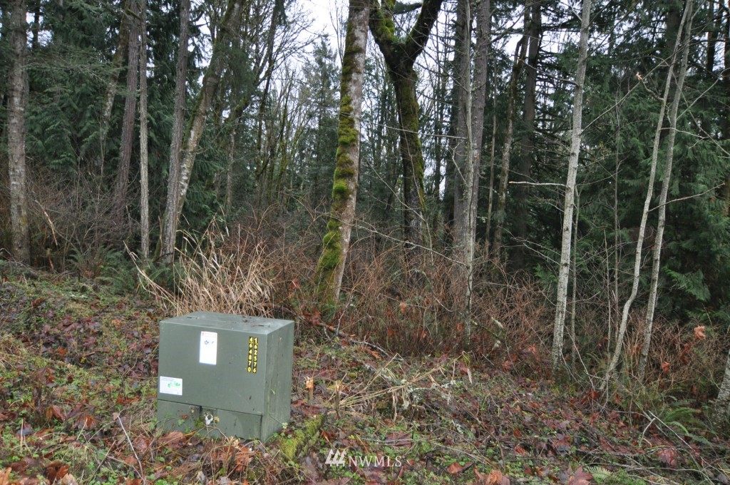 19-xx Academy Road Bellingham, WA 98226 - Photo 13 of 20 Gallery Image 13
