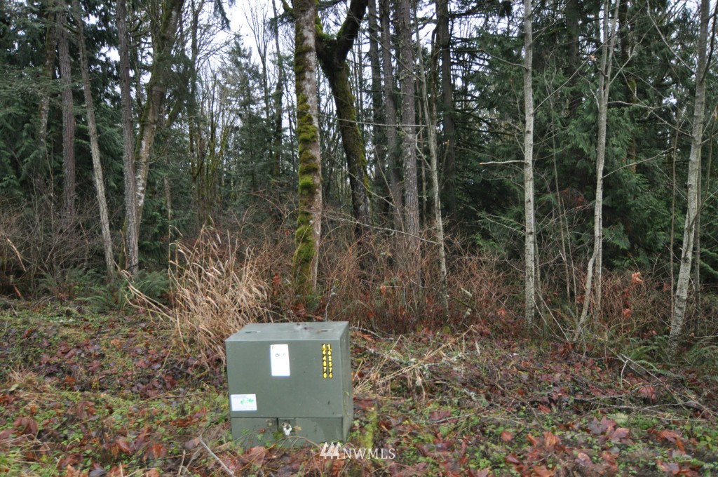 19-xx Academy Road Bellingham, WA 98226 - Photo 19 of 20 Gallery Image 19