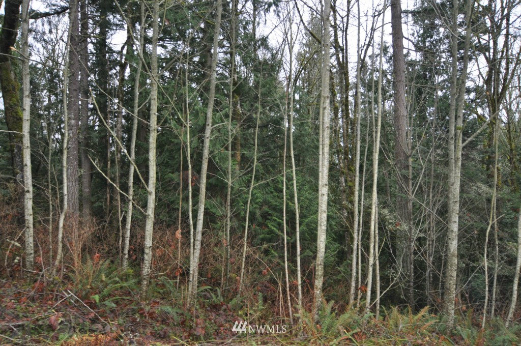 19-xx Academy Road Bellingham, WA 98226 - Photo 20 of 20 Gallery Image 20