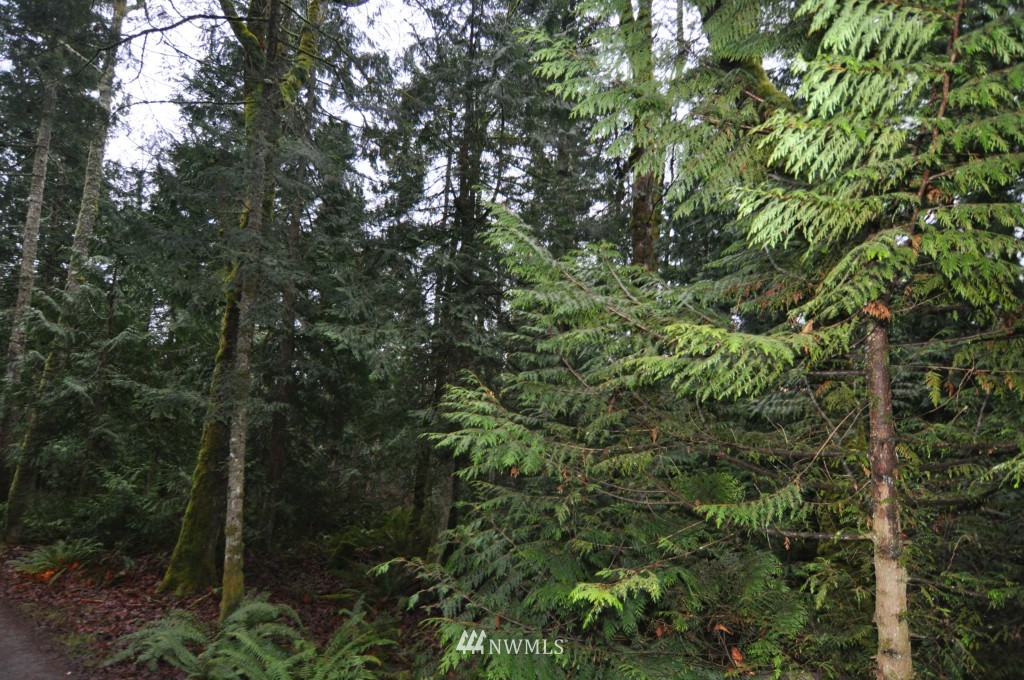 19-xx Academy Road Bellingham, WA 98226 - Photo 3 of 20 Gallery Image 3