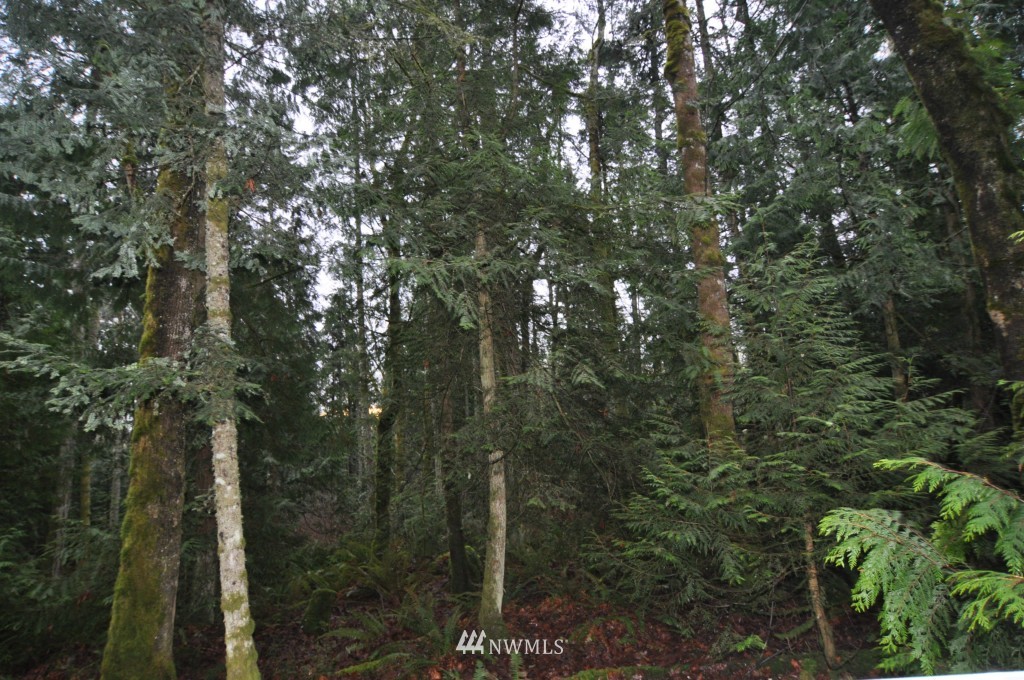 19-xx Academy Road Bellingham, WA 98226 - Photo 4 of 20 Gallery Image 4