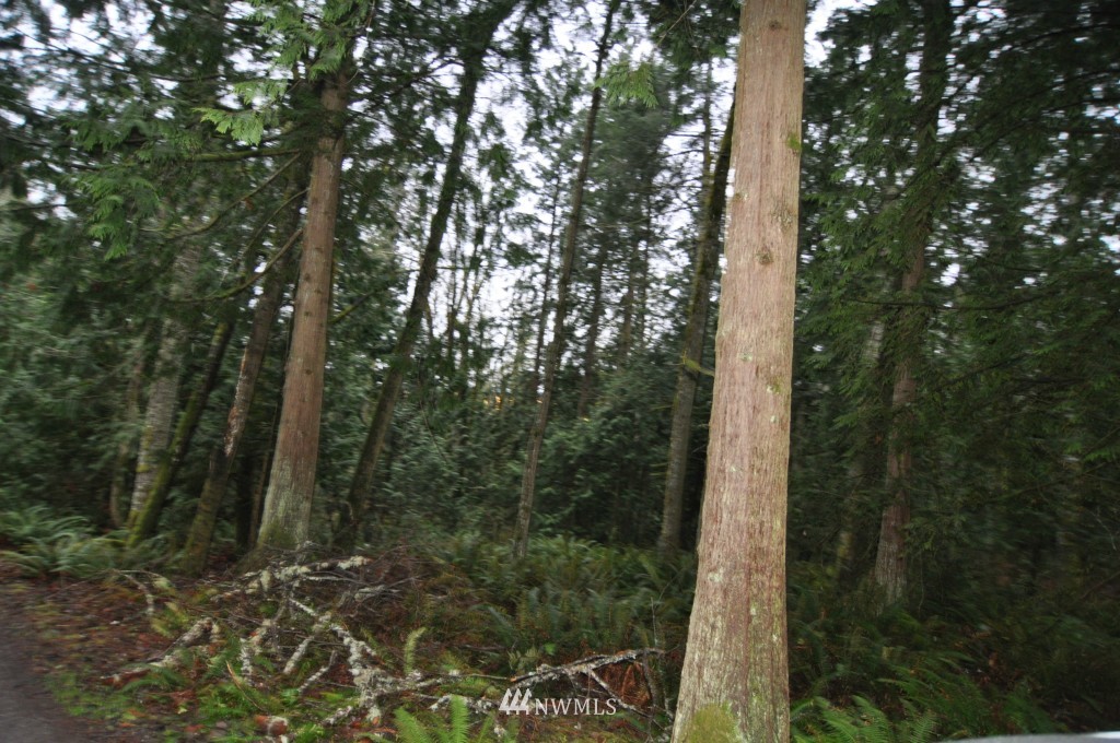 19-xx Academy Road Bellingham, WA 98226 - Photo 5 of 20 Gallery Image 5