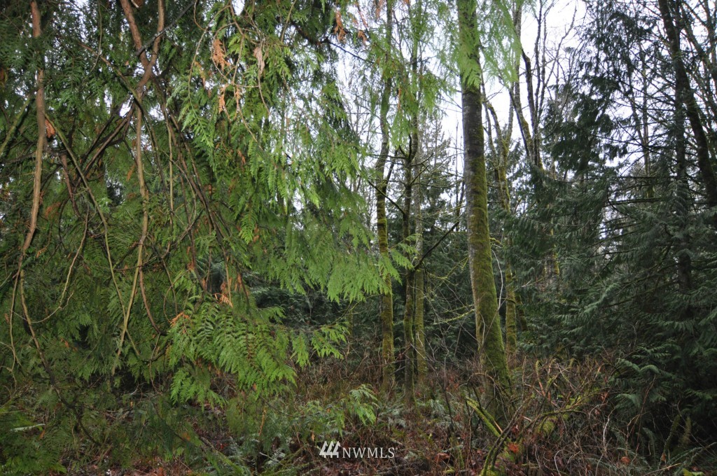 19-xx Academy Road Bellingham, WA 98226 - Photo 8 of 20 Gallery Image 8
