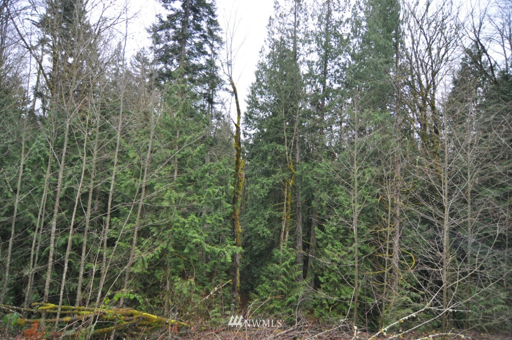 19-xx Academy Road Bellingham, WA 98226 - Photo 9 of 20 Gallery Image 9