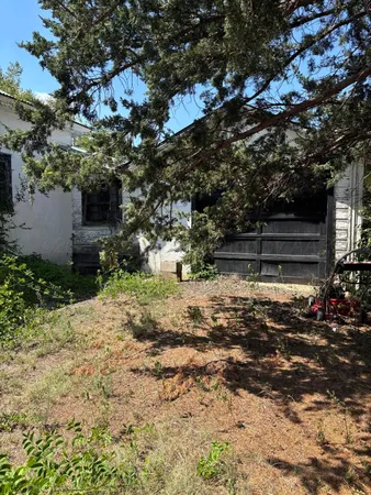 a view of a yard with large trees