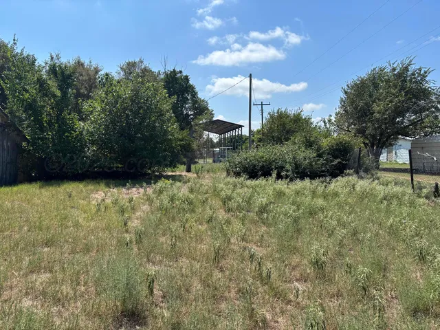 a view of a yard with plants and large trees