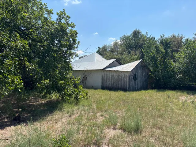 a view of a yard with plants and trees