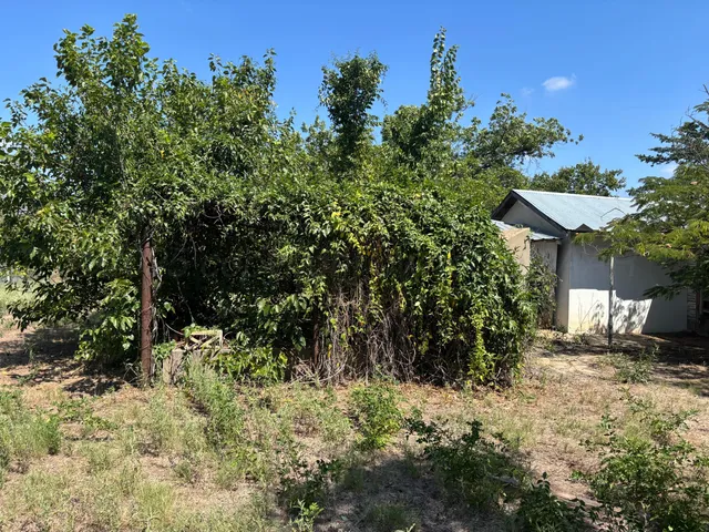 a backyard of a house