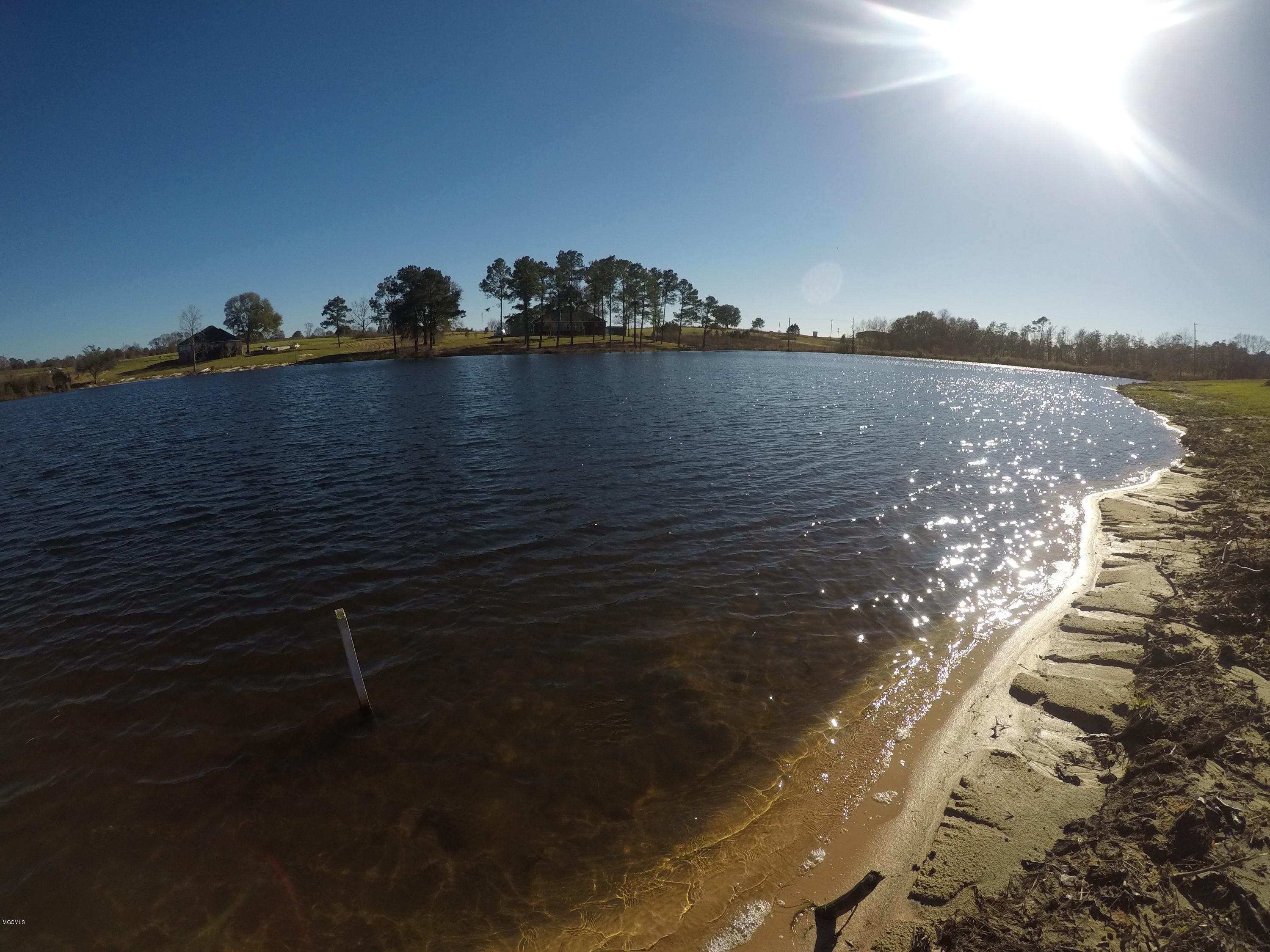 40 Susan Cooley Road Lucedale, MS 39452 - Photo 5 of 8 GOPR0879