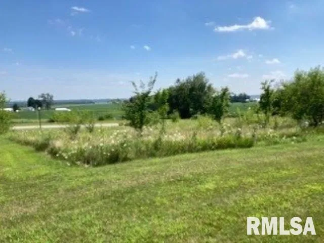 a view of a field with an trees