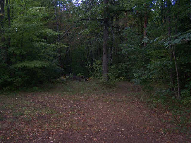 3905 Nott Road Bridgeport, MI 48722 - Photo 9 of 9 20101316-8.JPG