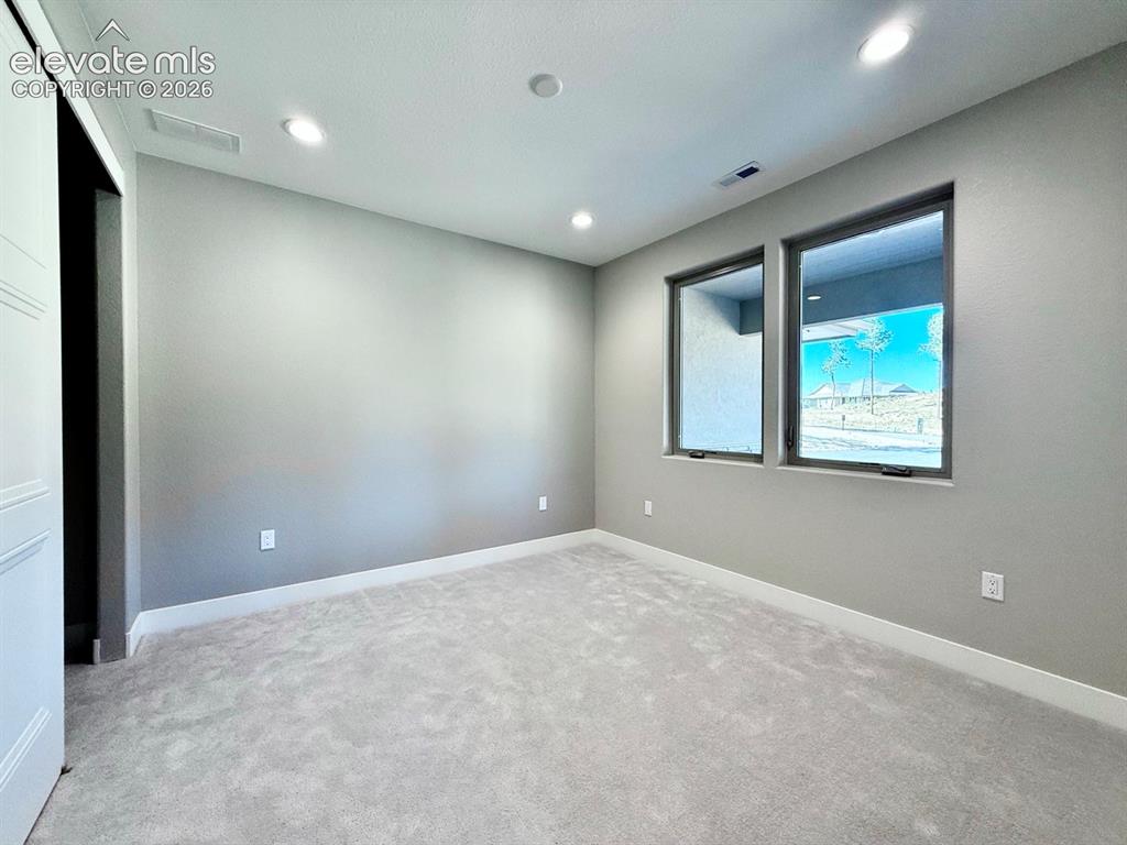 3145 Promise Point Colorado Springs, CO 80921 - Photo 22 of 28