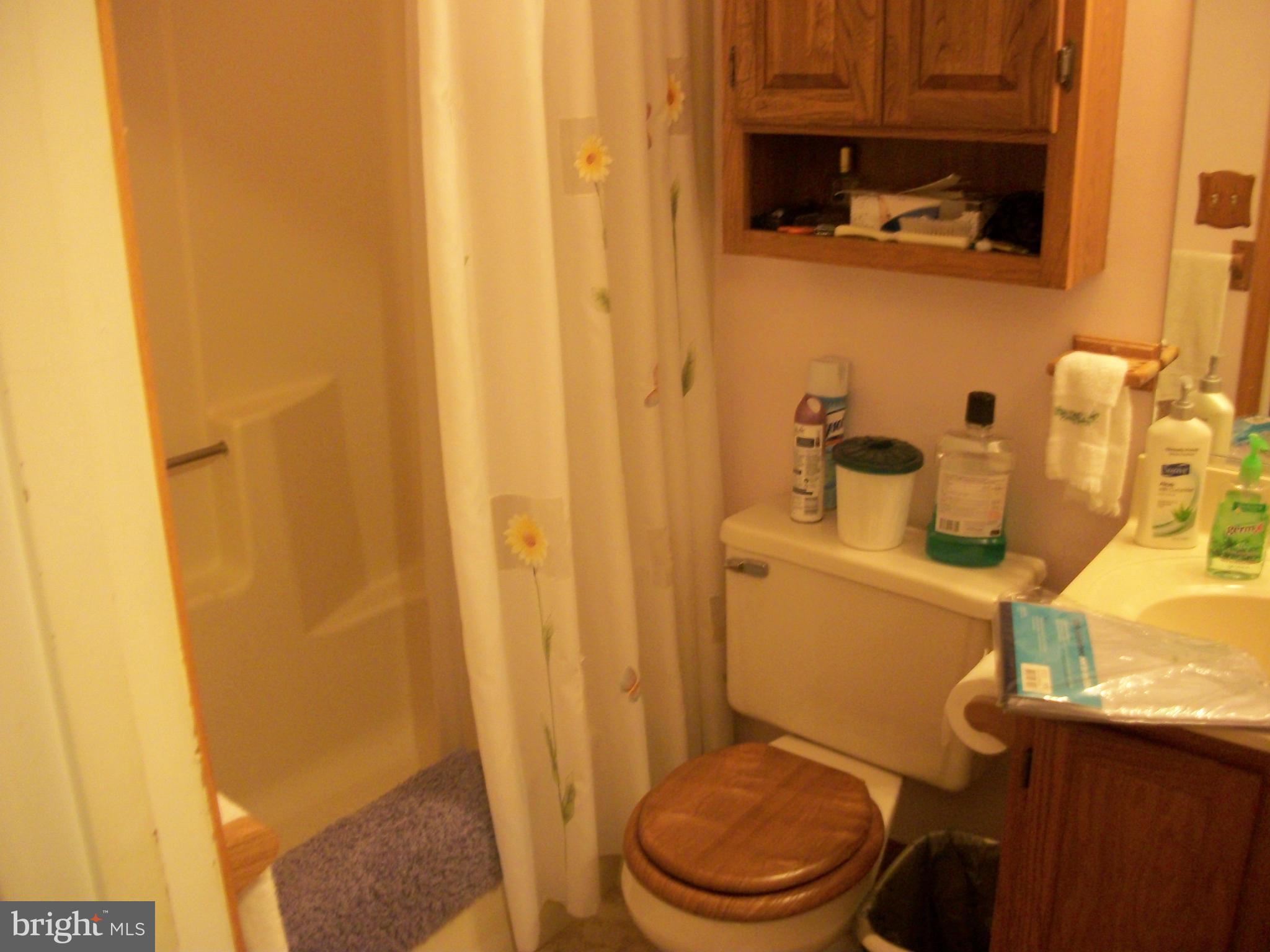 20777 Poplar Ridge Road Lexington Park, MD 20653 - Photo 13 of 25 Bath