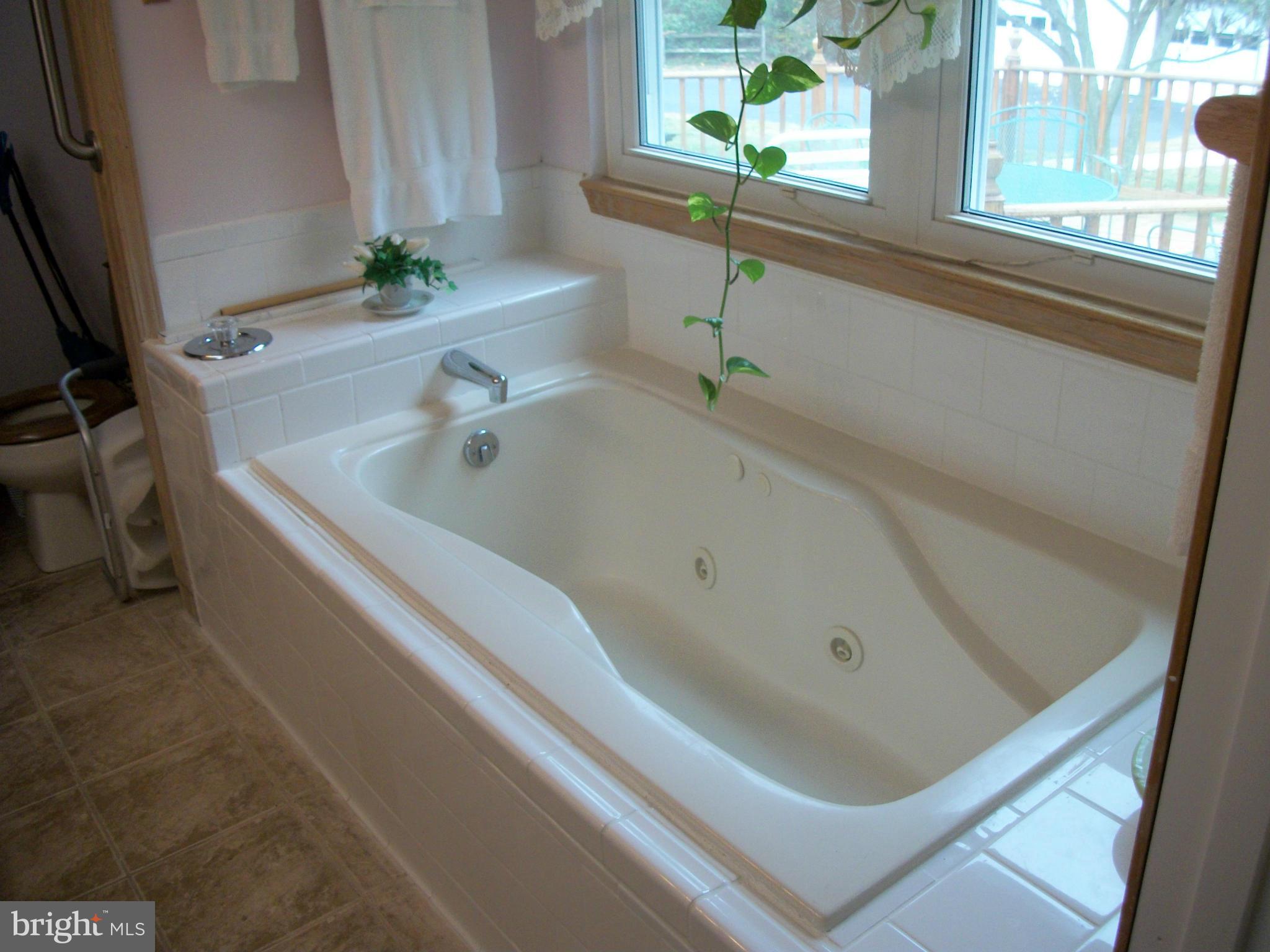20777 Poplar Ridge Road Lexington Park, MD 20653 - Photo 15 of 25 Bath (Master)