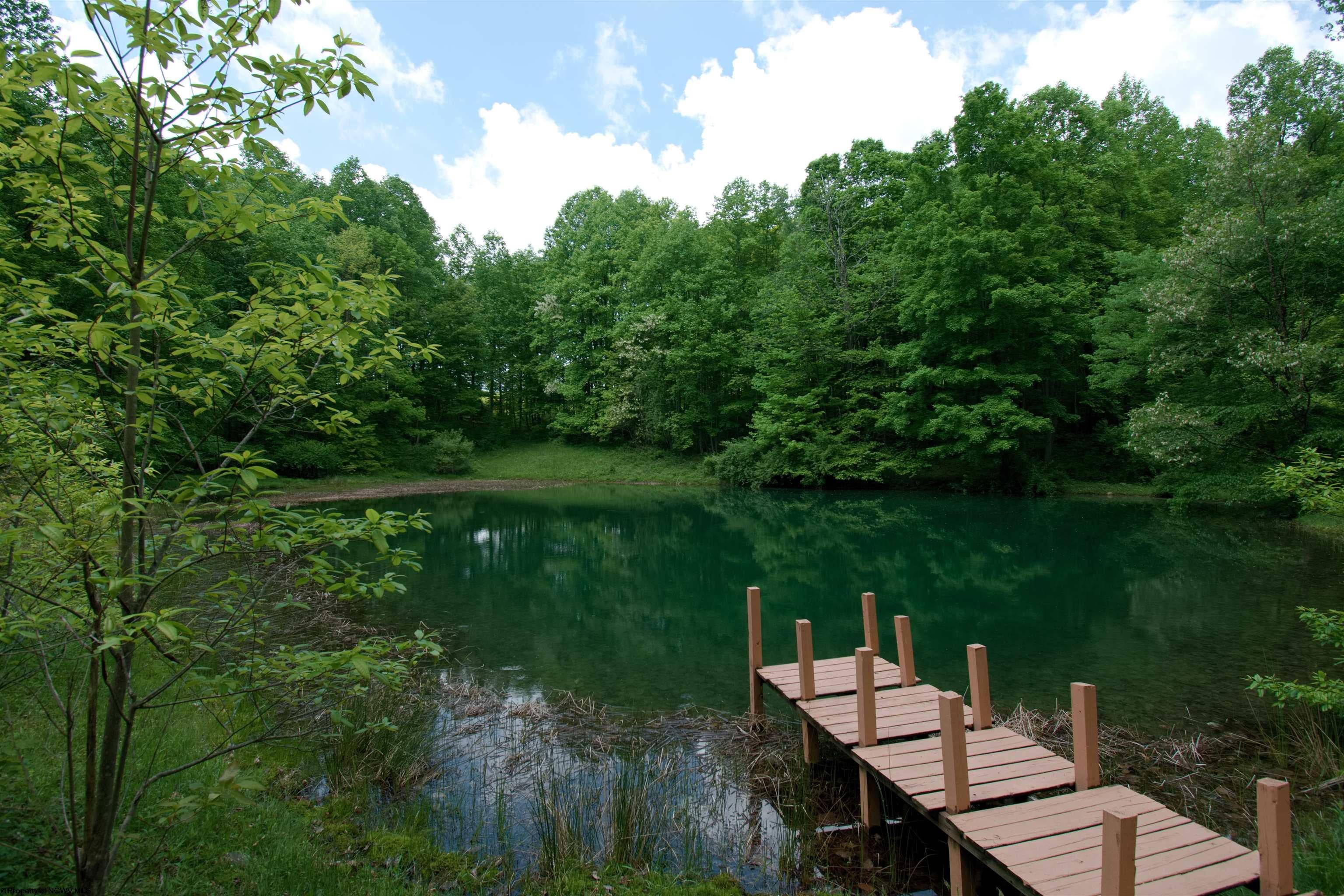 1129 Scotch Hill Road Thornton, WV 26440 - Photo 13 of 30 Gallery Image 13