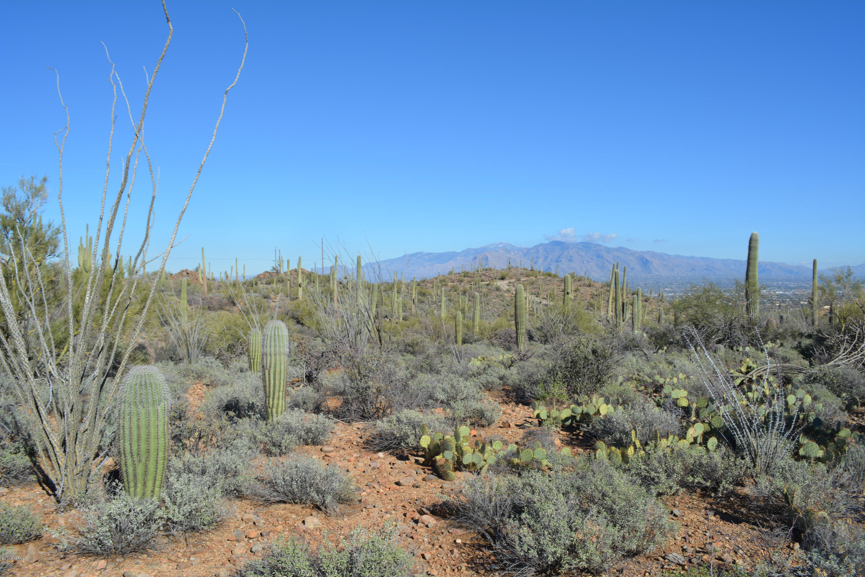 3955 North Broken Spring Trail Tucson, AZ 85745 - Photo 3 of 12