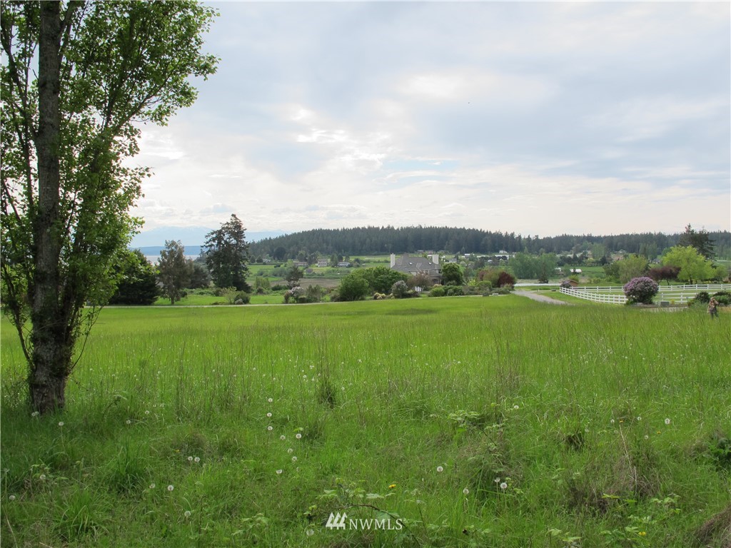 998 Summer Road Freeland, WA 98249 - Photo 11 of 13 Gallery Image 11
