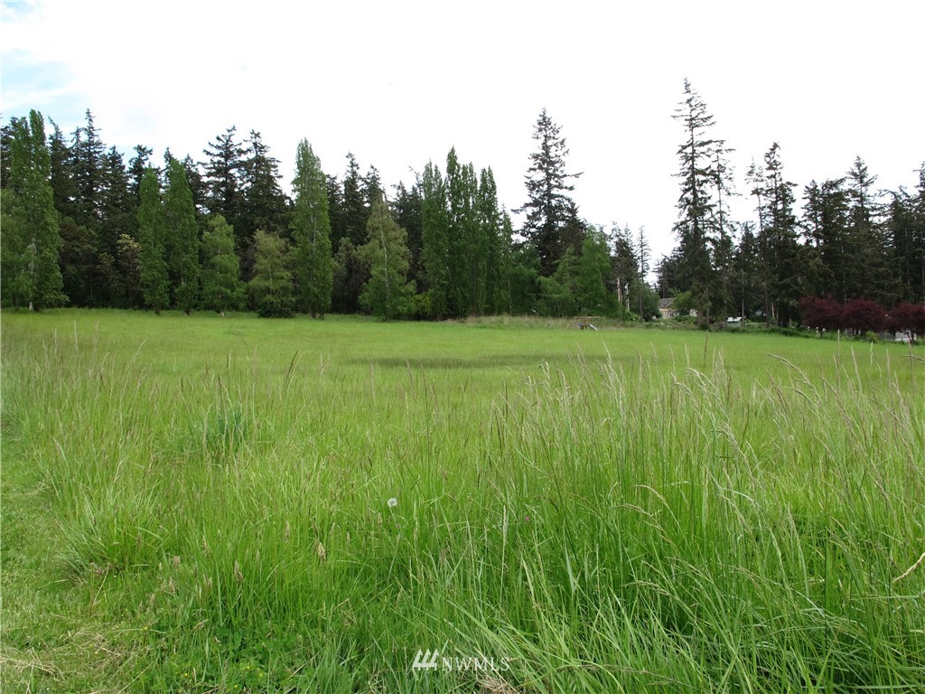 998 Summer Road Freeland, WA 98249 - Photo 12 of 13 Gallery Image 12