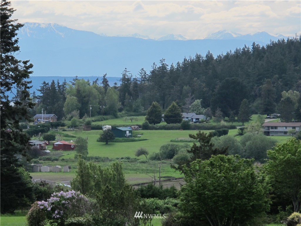 998 Summer Road Freeland, WA 98249 - Photo 4 of 13 Gallery Image 4